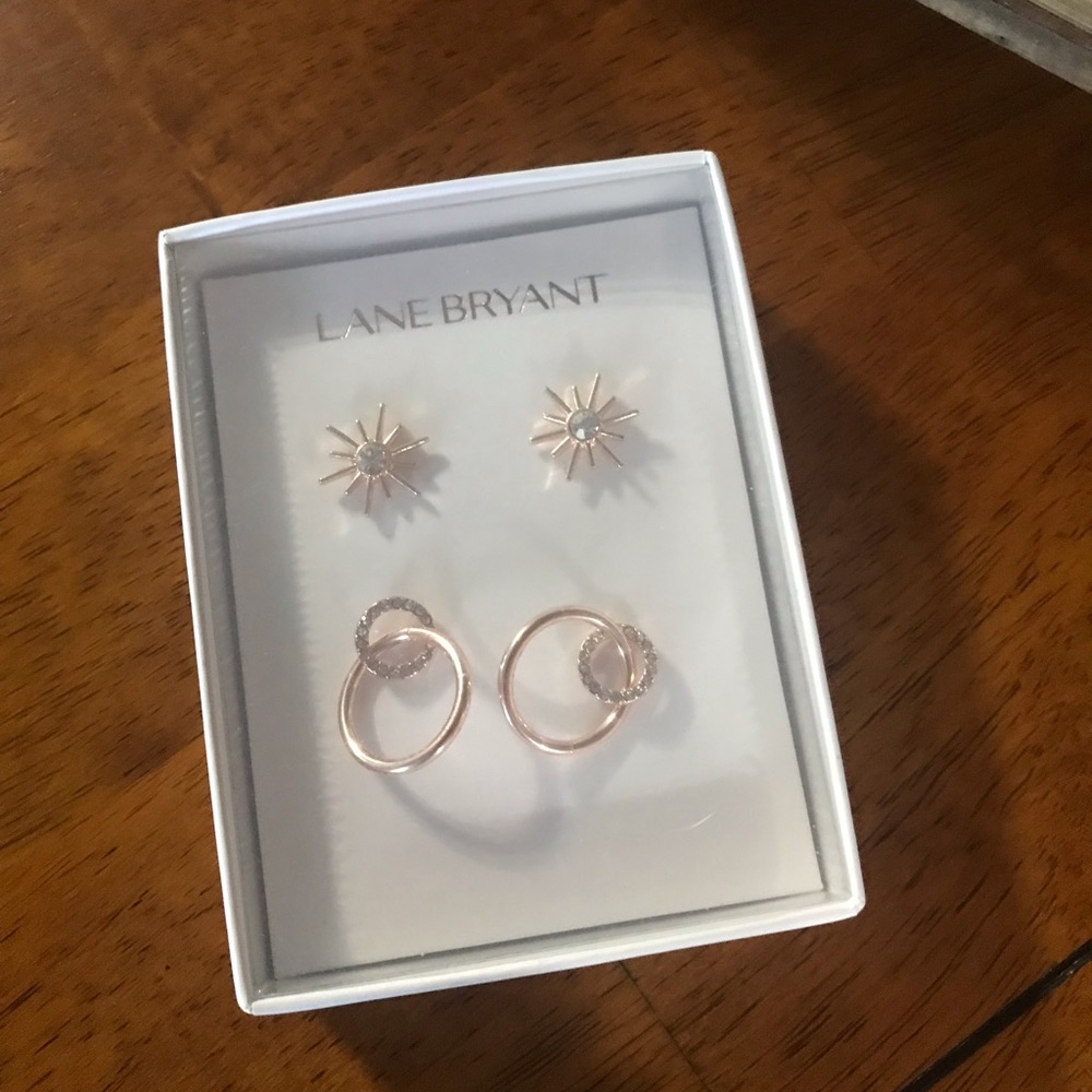 Rose Gold Earrings - Picture 2 of 4
